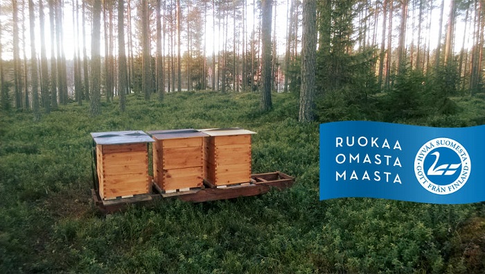 Oulu hunaja, puhtaasta lapin luonnosta Sinun parhaaksi